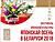 "Японская осень" придет в города Беларуси 20 сентября