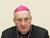 Кондрусевич надеется, что Папа Римский посетит Беларусь