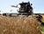 Belarus plans to harvest around 11m tonnes of grain