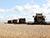 Belarus’ grain harvest past 8.3 tonnes