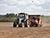 Lukashenko dismisses fears of crop losses, advises to plant more potatoes