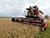 Belarus’ agriculture ministry explains factors behind good harvest in 2025