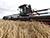 Belarus harvests 10.4m tonnes of grain
