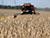 Six million tonnes of grain threshed in Belarus