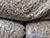 Construction of boilers, export of pellets. What Belarus can offer to SCO partners in energy sector