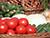Organic food market to open near Minsk in late 2020