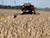 Belarus’ grain harvest about 95% complete