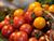Lukashenko orders to help farmers from regions sell their products in Minsk