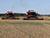 Over 6.8m tonnes of grain, including rapeseed, threshed in Belarus