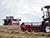 Belarus’ grain harvest reaches 10.8m tonnes