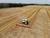 Belarusian agrarians harvest over 5m tonnes of grain