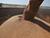 Belarus’ grain harvest exceeds 10.9m tonnes