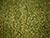Lukashenko: We need better results in flax industry