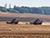 Lukashenko examines performance of Belarusian-made harvesters in challenging weather