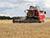Over 1m tonnes of cereal grain harvested in Belarus