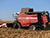 Belarus harvests over 1.4m tonnes of corn kernels