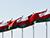 Expert comments on major areas of Belarus-Oman cooperation