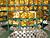 Lukashenko warns against hoarding of reserves