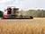 Lukashenko urges to speed up harvest campaign