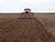 Lukashenko urges Grodno Oblast to complete planting by 1 October