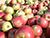 Belarus, Russia’s North Ossetia discuss common interests in agriculture