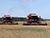 Nearly 6.9m tonnes of grain, including rapeseed, threshed in Belarus