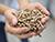 Lukashenko plans to examine fuel pellet production