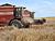 Belarus harvests over 6m tonnes of grain