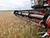 Belarus’ grain harvest reaches 9m tonnes