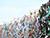 New technologies to help Belarus recycle 99% of waste