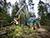 Belarusian Amkodor ships first timber harvester to Ukraine