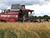 В Беларуси намолочено 8,7 млн тонн зерна с учетом рапса