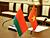 Беларусь и Вьетнам согласовали пути расширения инвестиционного сотрудничества
