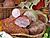 Беларусь у 2019 годзе павялічыць пастаўкі мясной прадукцыі ў Расію на 11 працэнтаў