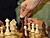 白罗斯获得了承办2022年世界国际象棋锦标赛的权利