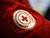 白罗斯红十字会已经收集了175万白卢布，用于抗击COVID-19