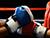 白罗斯拳击手叶甫盖尼·多尔戈列维茨赢得了WBA洲际冠军