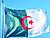 卢卡申科：白罗斯指望与阿尔及利亚加深建设性之关系