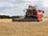 白俄罗斯已有超过100万吨谷类作物脱粒
