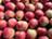 苹果和洋葱的加价低于 300%！卢卡申科要求与投机者达成强硬协议