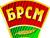 "Труд крут!": масштабная акция БРСМ по благоустройству малой родины прошла в Минске