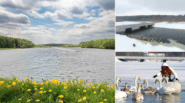 Водохранилище Криница