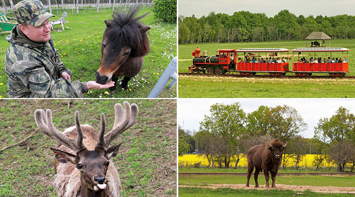 Mogilev Zoological Garden