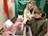 Iranian observer describes presidential election in Belarus as transparent