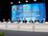 SCO mission recognizes Belarus' election as transparent, democratic