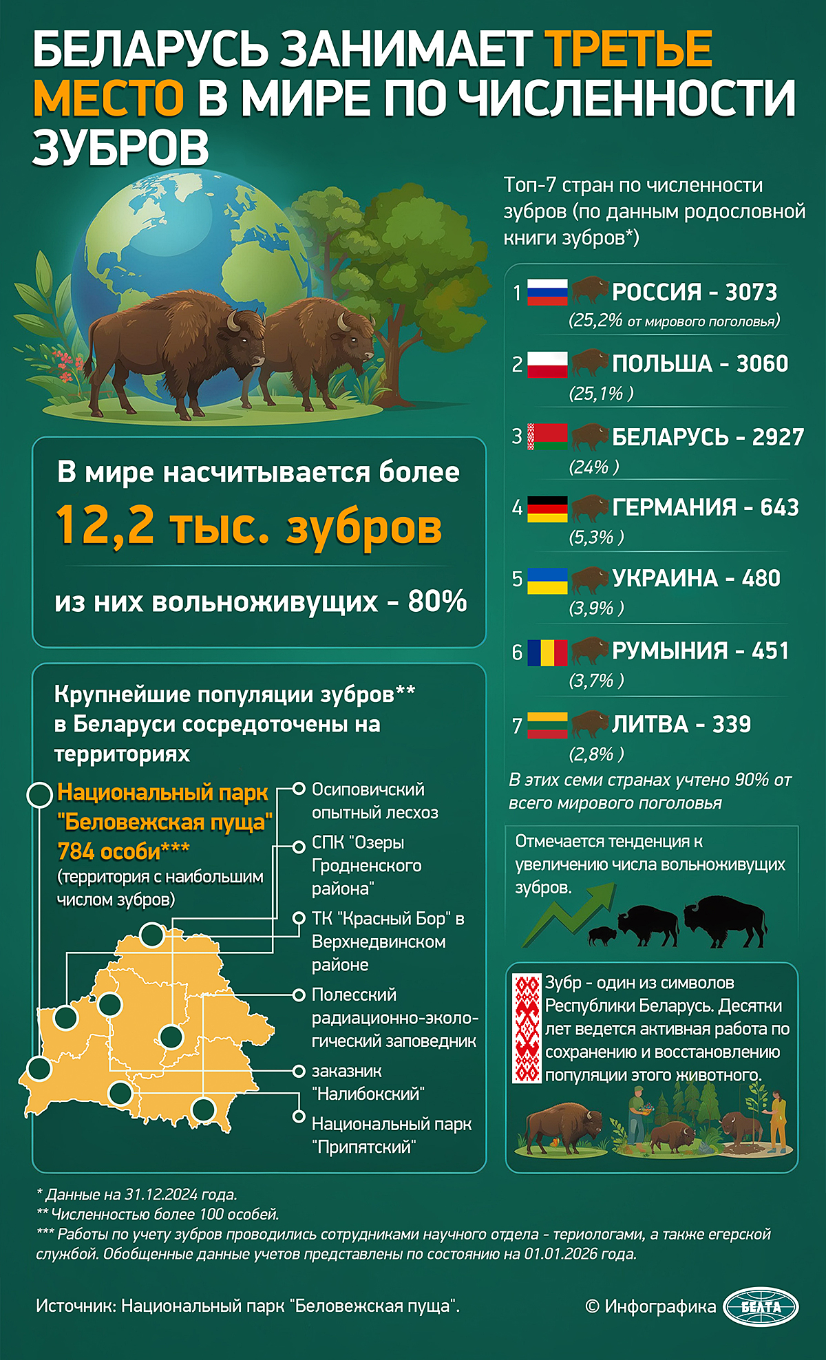 Беларусь занимает третье место в мире по численности зубров