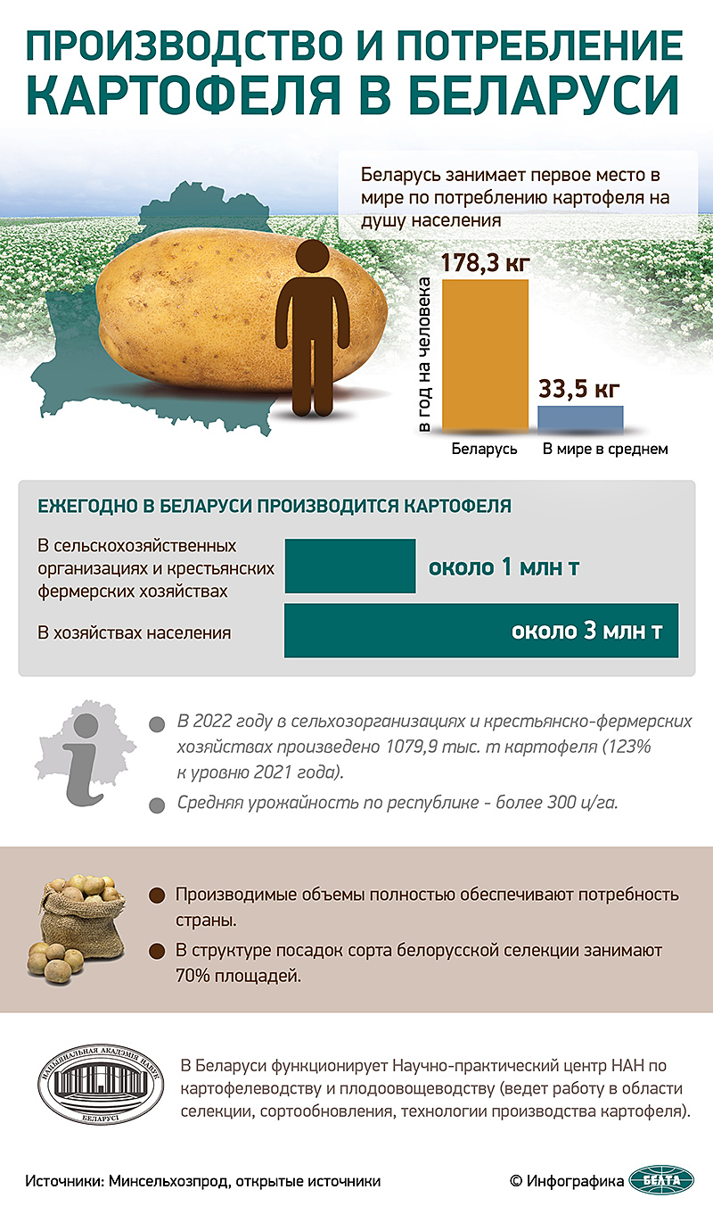 Производство и потребление картофеля в Беларуси