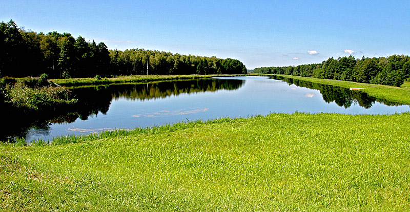 The Belovezhskaya Pushcha National Park