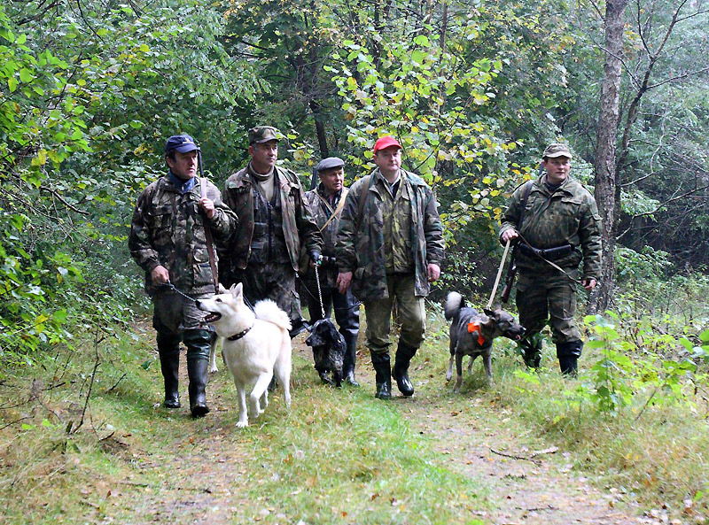 Hunting in Ozersk, Grodno region