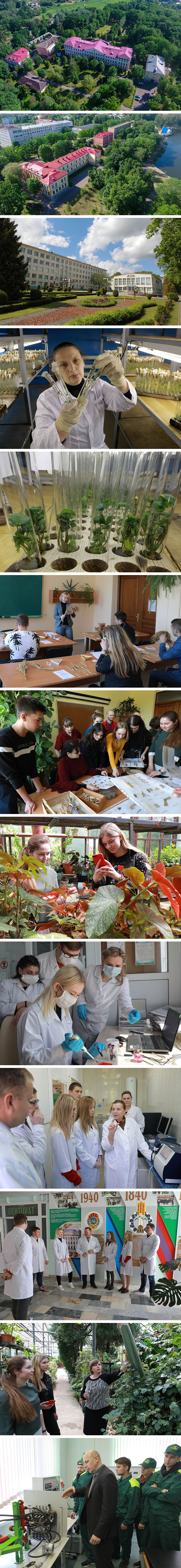 Belarusian State Agricultural Academy in Gorki
